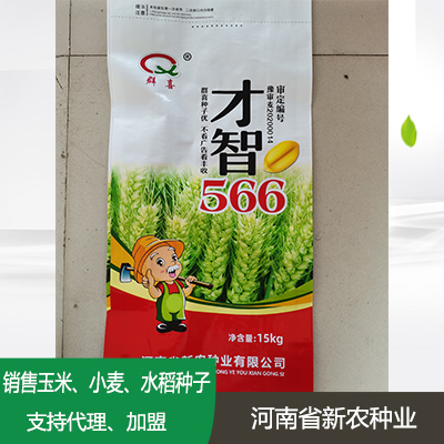 河北小麦种子加盟