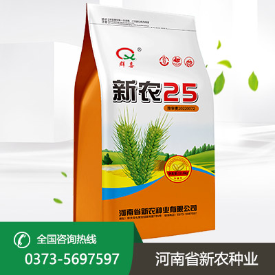 河北小麦种