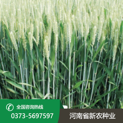 河北佳源25